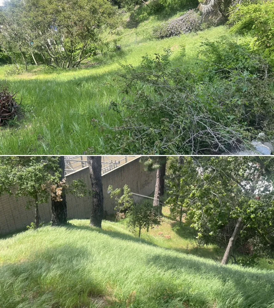 Custom yard maintenance in Sylmar, CA by Waste Unlimited Brush Clearance & Tree Service