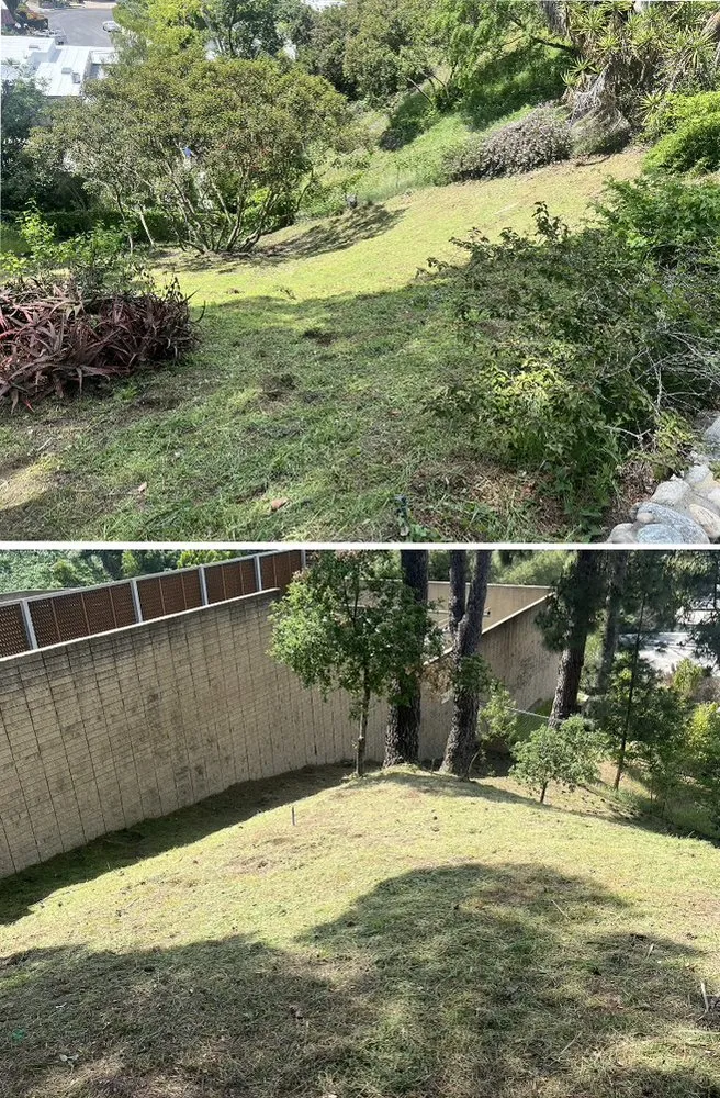 Expert garden landscaping near you across Sylmar, CA - Waste Unlimited Brush Clearance & Tree Service