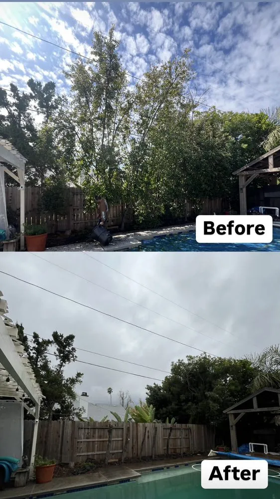 Trusted outdoor landscaping in Sylmar, CA - Waste Unlimited Brush Clearance & Tree Service