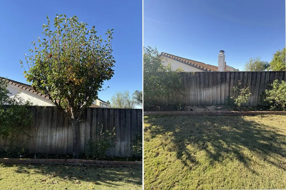 Custom landscape installation in Sylmar, CA by Waste Unlimited Brush Clearance & Tree Service