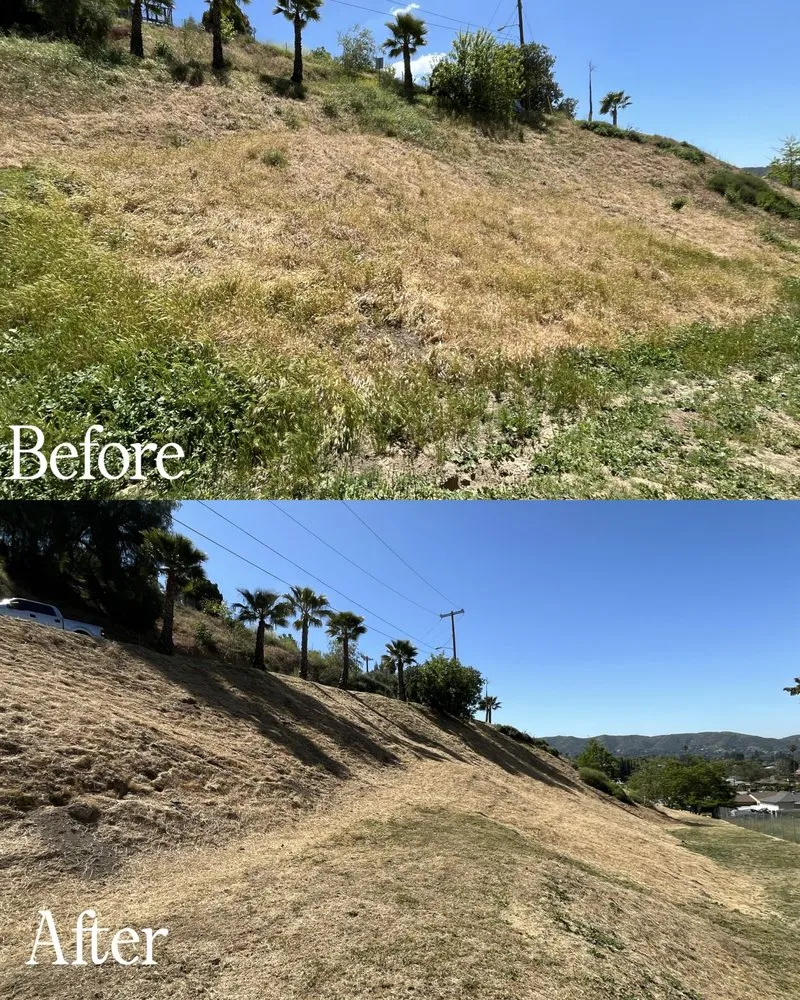 Professional landscape design in Sylmar, CA - Waste Unlimited Brush Clearance & Tree Service