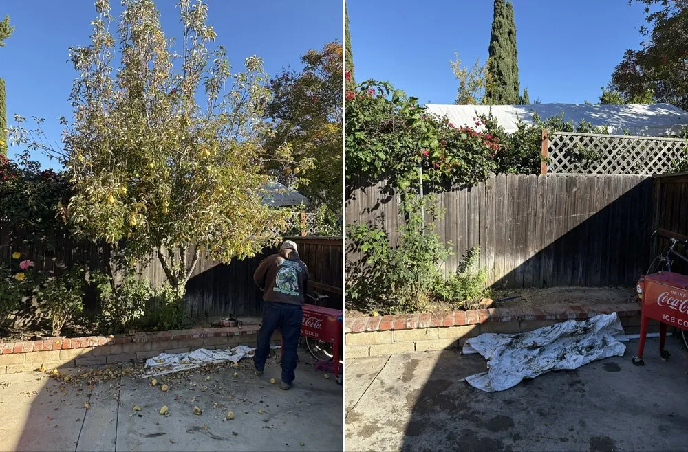 Trusted outdoor landscaping in Sylmar, CA by Waste Unlimited Brush Clearance & Tree Service