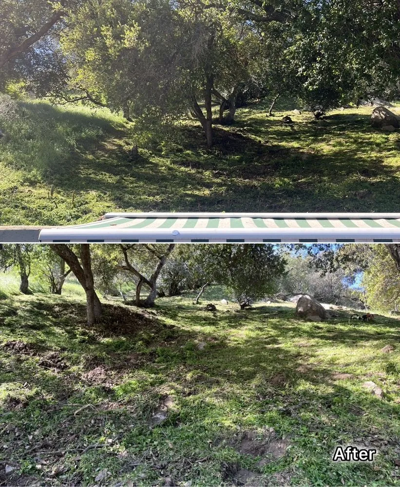 Top-rated outdoor landscaping in Sylmar, CA - Waste Unlimited Brush Clearance & Tree Service