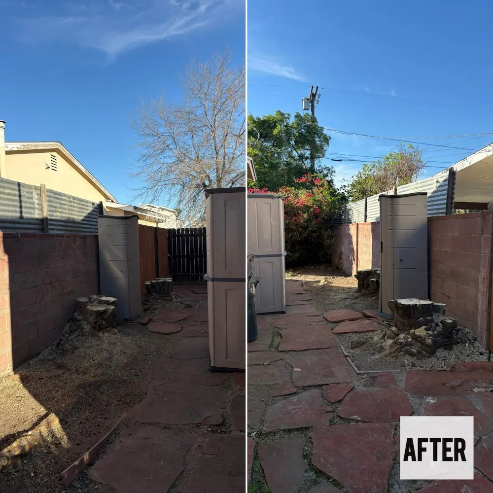 Custom outdoor landscaping in Sylmar, CA - Waste Unlimited Brush Clearance & Tree Service