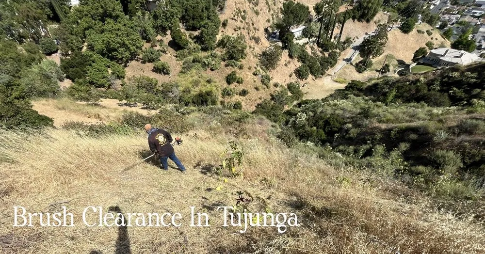 Custom landscape design in Sylmar, CA by Waste Unlimited Brush Clearance & Tree Service