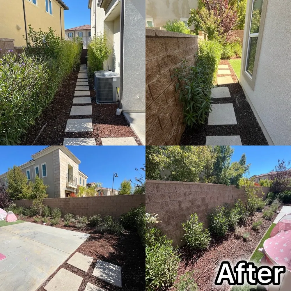 Affordable lawn care service in Sylmar, CA by Waste Unlimited Brush Clearance & Tree Service