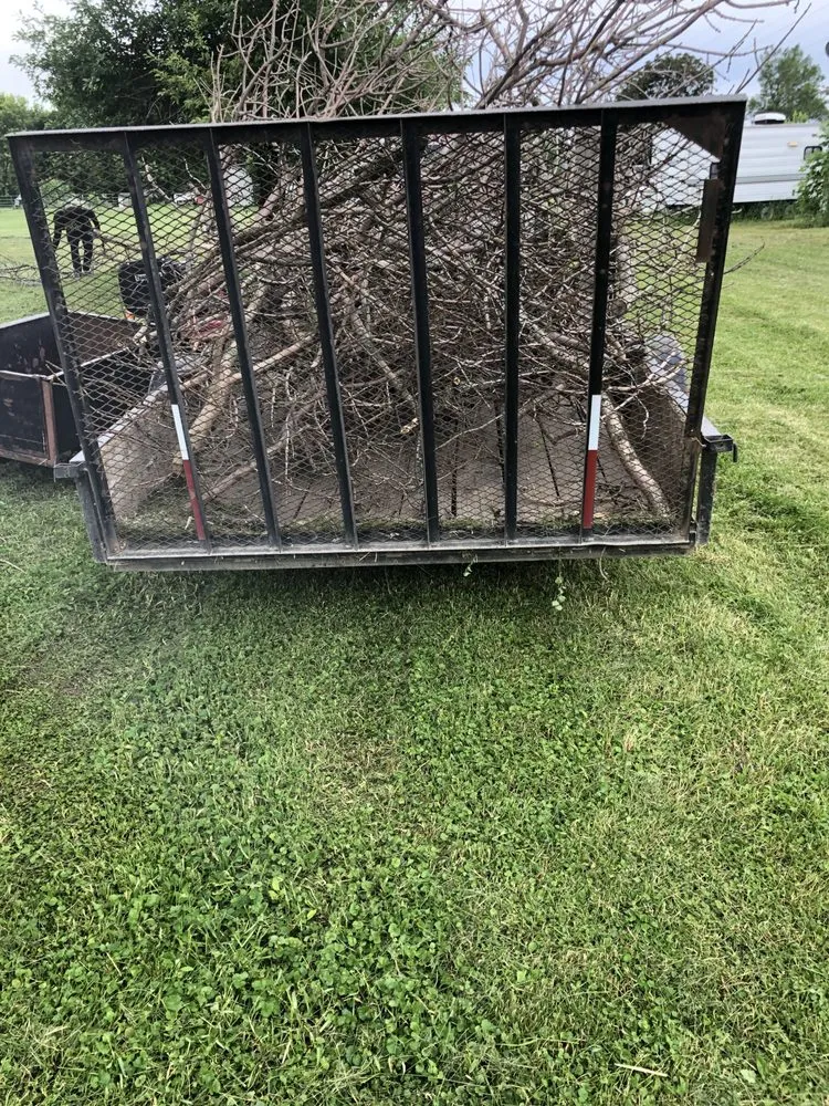 Affordable landscaping services for beautiful yards in Emmetsburg, IA by Wastun Lawn Care