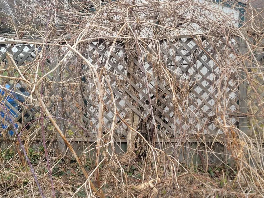 Custom landscaping services with custom design across Chesaning, MI - Waswick Lawncare and Landscaping