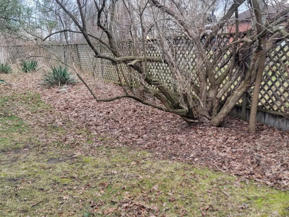 Professional residential landscaping experts serving Chesaning, MI - Waswick Lawncare and Landscaping