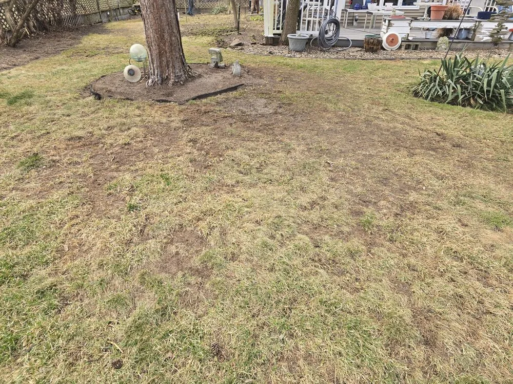 Local landscape installation in Chesaning, MI by Waswick Lawncare and Landscaping