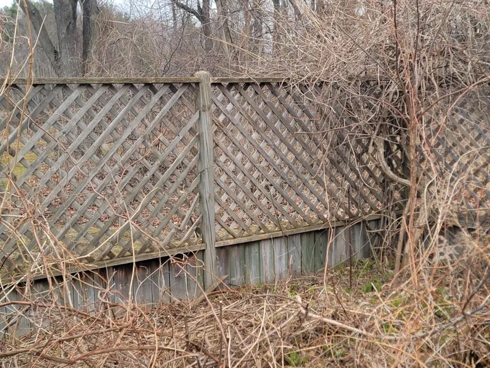 Expert yard cleanup service in Chesaning, MI - Waswick Lawncare and Landscaping