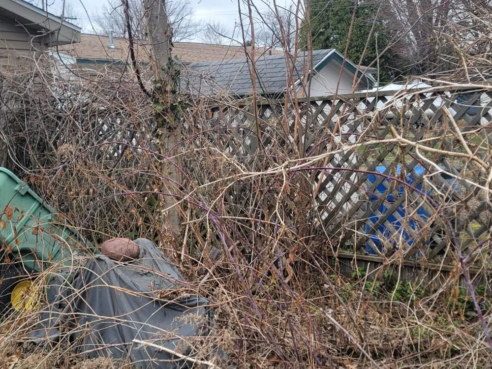 Professional landscape installation for homes in Chesaning, MI by Waswick Lawncare and Landscaping