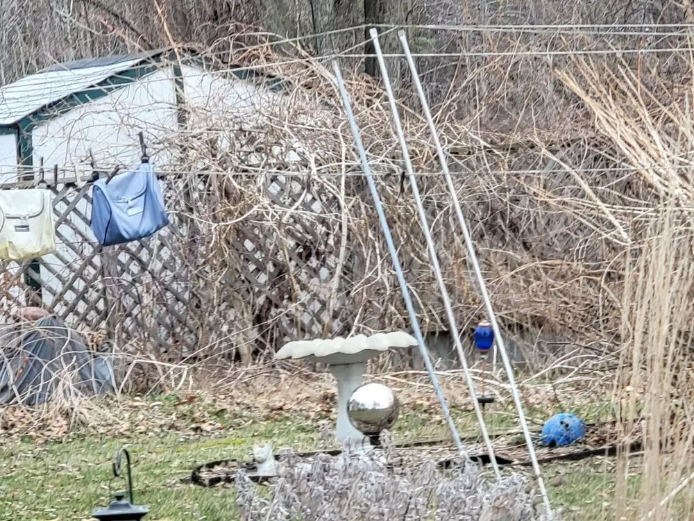 Trusted yard maintenance experts serving Chesaning, MI - Waswick Lawncare and Landscaping