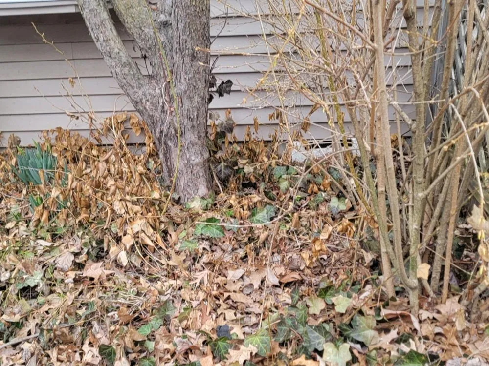 Affordable landscaping services experts serving Chesaning, MI - Waswick Lawncare and Landscaping