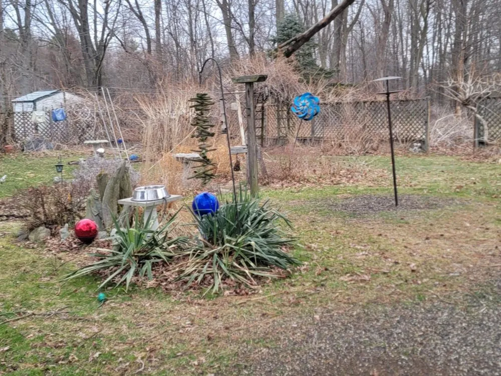 Professional yard cleanup service in Chesaning, MI by Waswick Lawncare and Landscaping