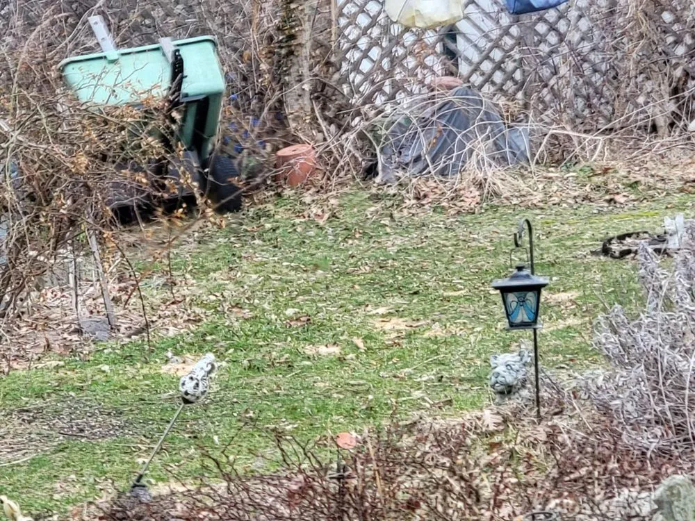 Trusted residential landscaping experts serving Chesaning, MI - Waswick Lawncare and Landscaping