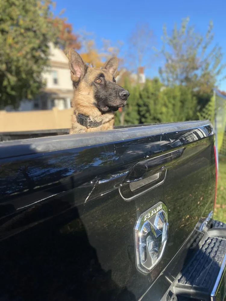 Expert yard cleanup service with custom design in Weston, MA by Watch City Construction