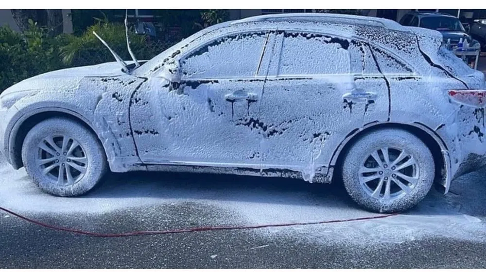 Expert residential landscaping for homes across Wellington, FL - Watch Me Shine