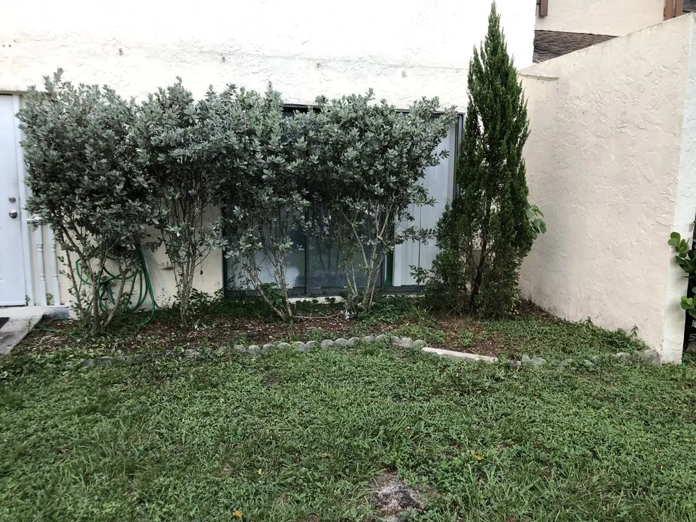 Local lawn care service in Wellington, FL - Watch Me Shine