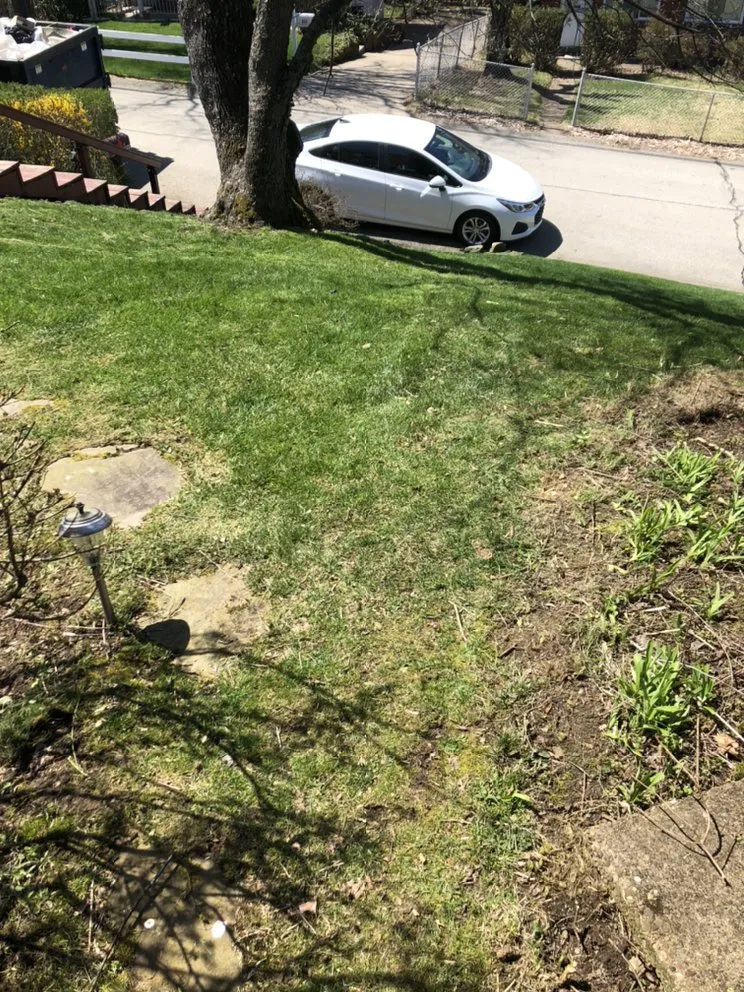 Affordable outdoor landscaping for homes in North Versailles, PA by Watch N Learn Solutions