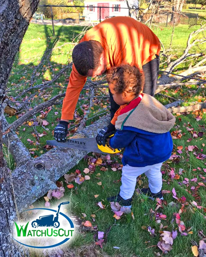 Trusted lawn care service for residential properties in Stoughton, MA by Watch Us Cut