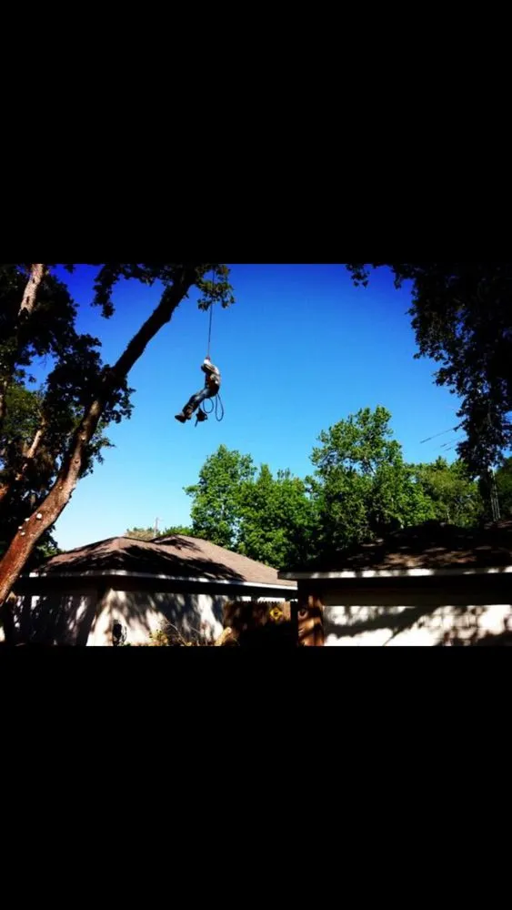 Expert outdoor landscaping in Daytona Beach, FL by Watch'em Grow Tree and Lawn Services