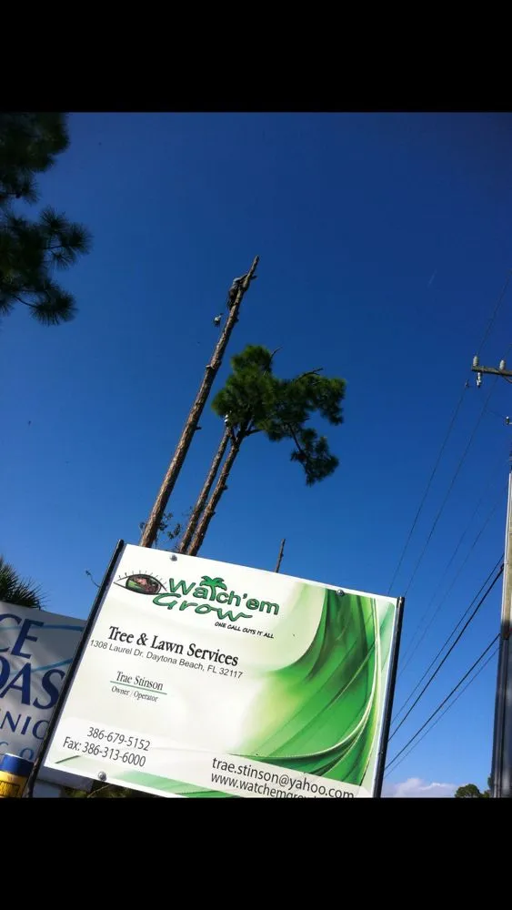 Professional outdoor landscaping experts serving Daytona Beach, FL - Watch'em Grow Tree and Lawn Services