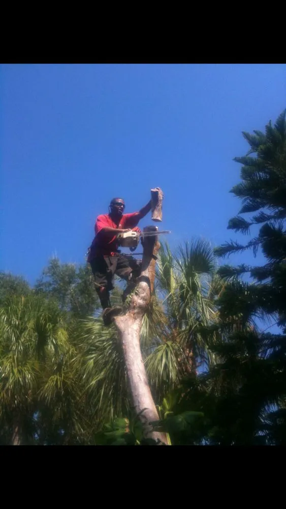 Affordable landscape design for homes in Daytona Beach, FL by Watch'em Grow Tree and Lawn Services