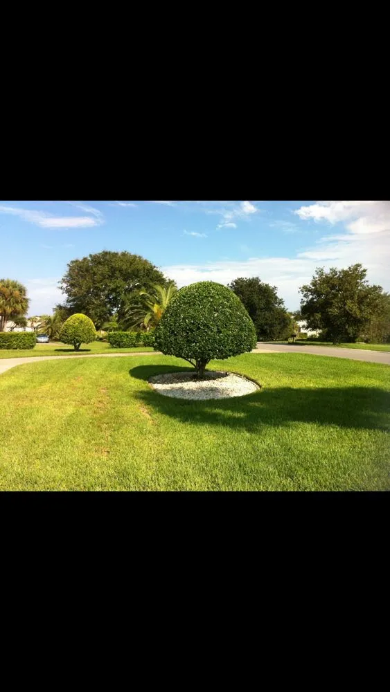 Local landscaping services for homes across Daytona Beach, FL - Watch'em Grow Tree and Lawn Services
