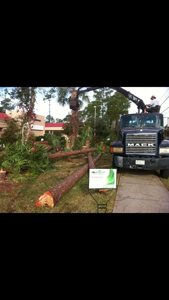 Professional residential landscaping for year-round maintenance across Daytona Beach, FL - Watch'em Grow Tree and Lawn Services
