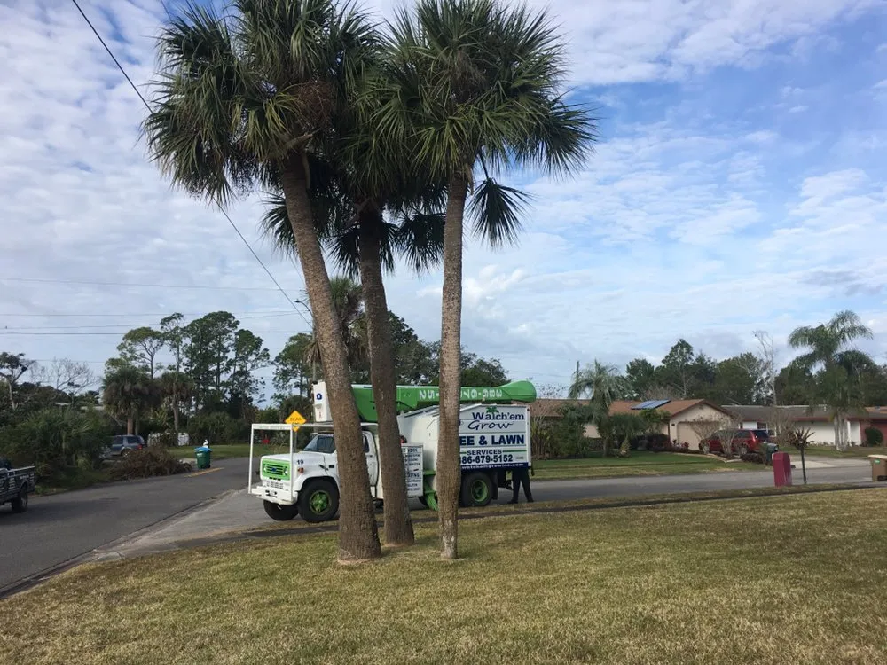 Expert residential landscaping in Daytona Beach, FL by Watch'em Grow Tree and Lawn Services