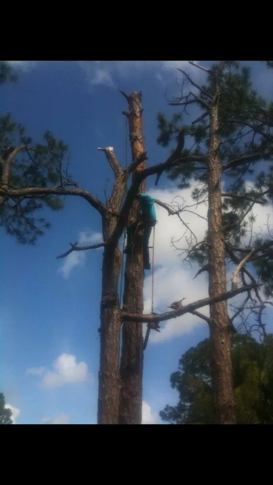 Reliable landscape installation for homes across Daytona Beach, FL - Watch'em Grow Tree and Lawn Services