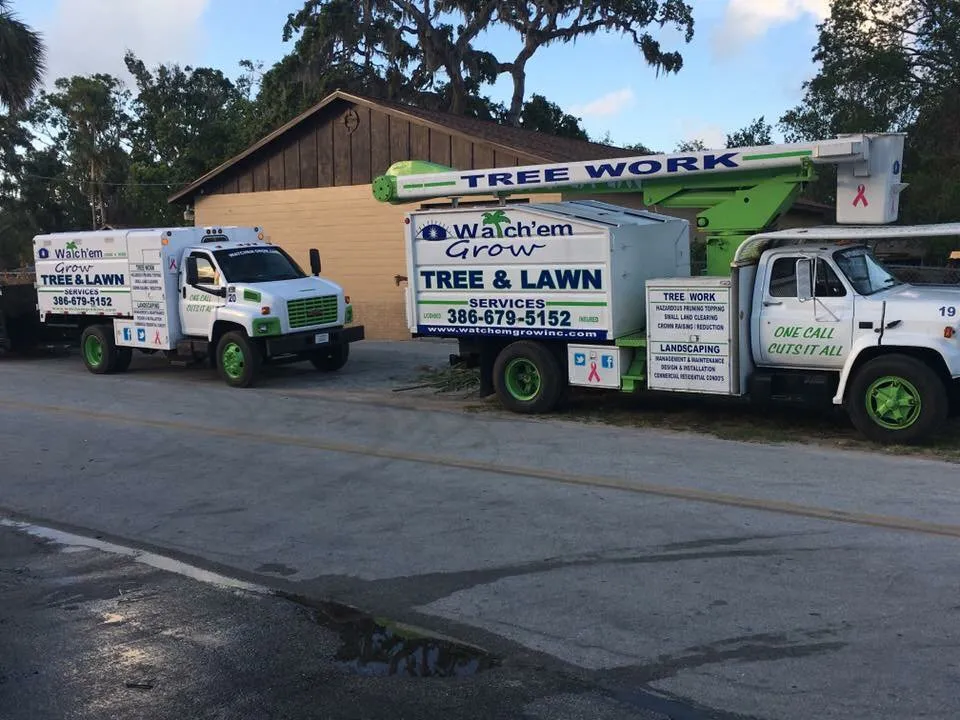 Reliable yard cleanup service in Daytona Beach, FL by Watch'em Grow Tree and Lawn Services