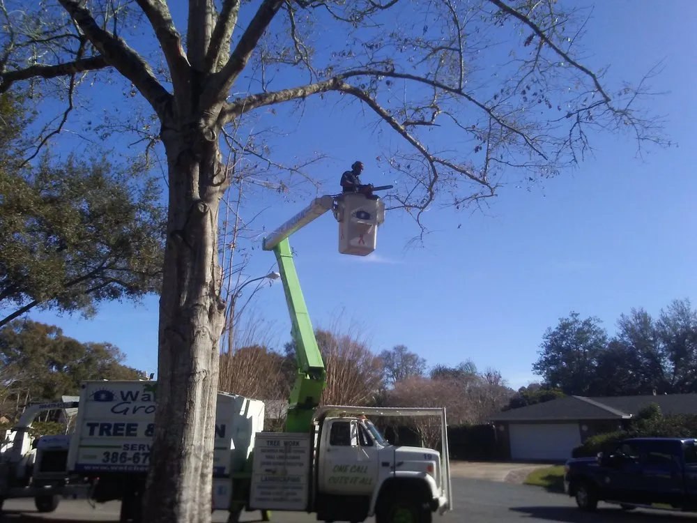 Reliable garden landscaping for homes in Daytona Beach, FL by Watch'em Grow Tree and Lawn Services