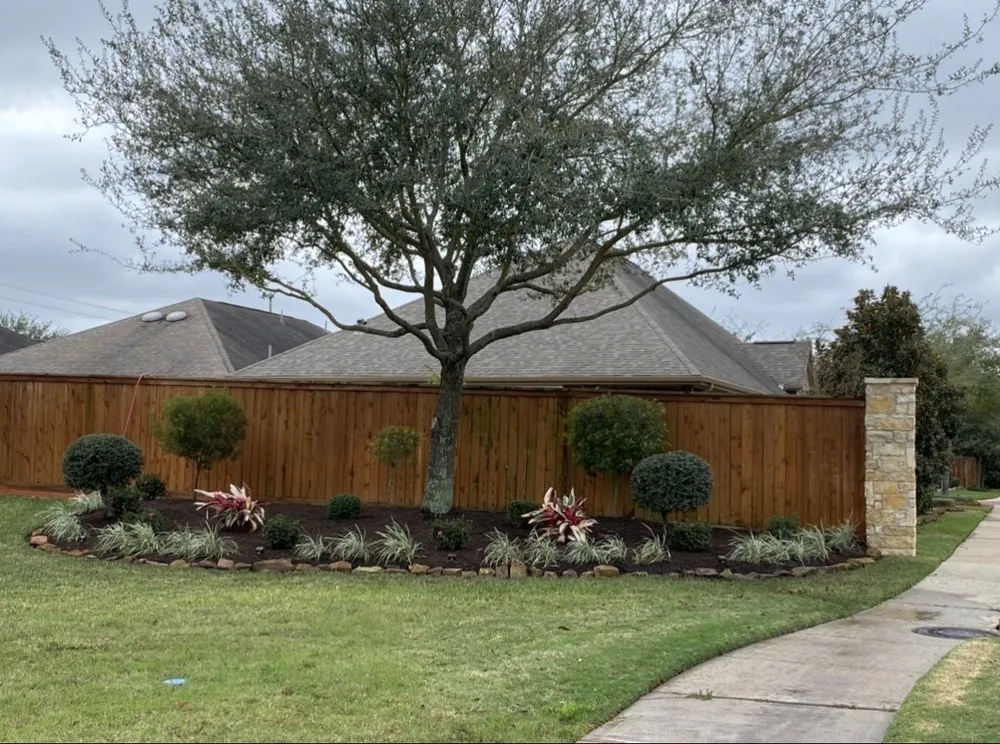 Trusted lawn care service in Cypress, TX by Water Baron Irrigation
