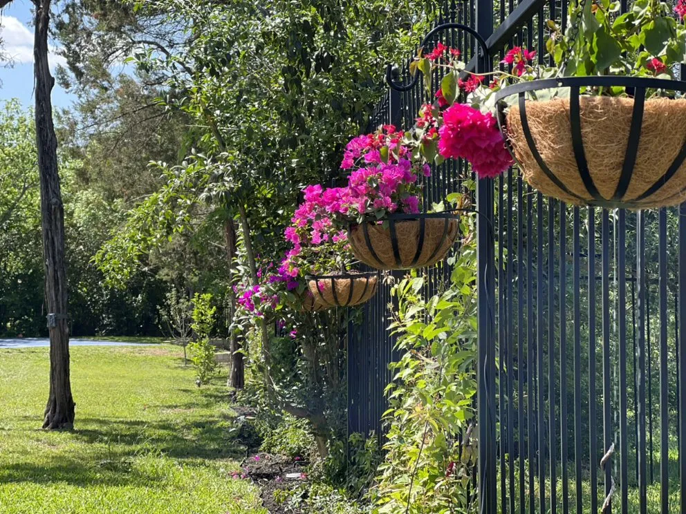 Expert lawn care service in Austin, TX - Water CenTex