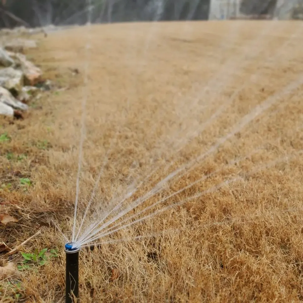 Professional lawn care service in Austin, TX by Water CenTex