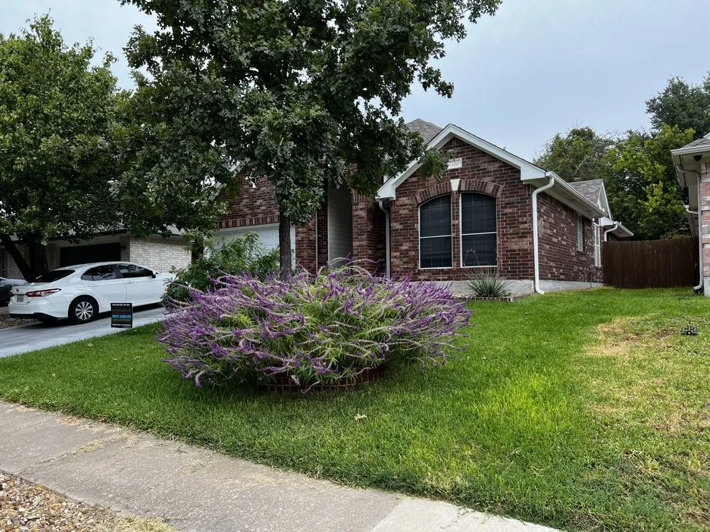 Local yard cleanup service in Austin, TX by Water CenTex