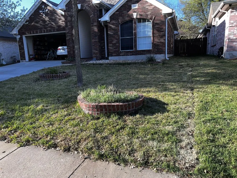 Local lawn care service for residential properties in Austin, TX by Water CenTex