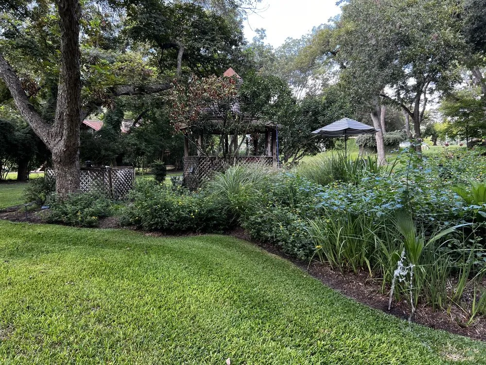 Trusted lawn care service for year-round maintenance in Austin, TX by Water CenTex