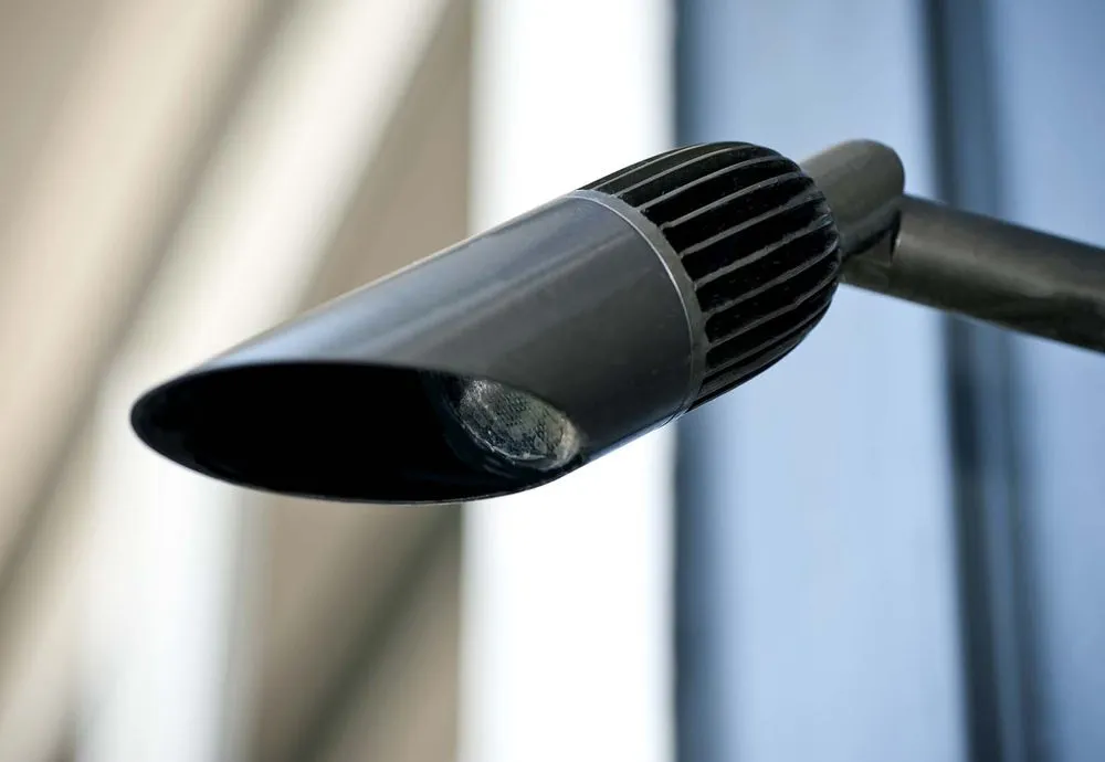 Custom garden landscaping in Oldsmar, FL by Water Crest Systems