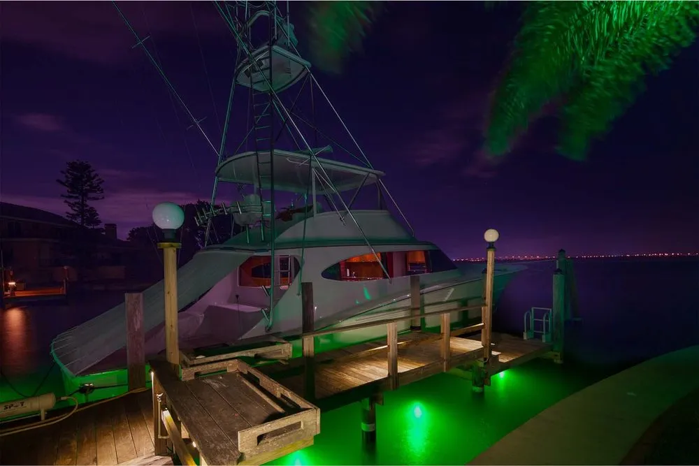 Reliable yard cleanup service experts serving Oldsmar, FL - Water Crest Systems