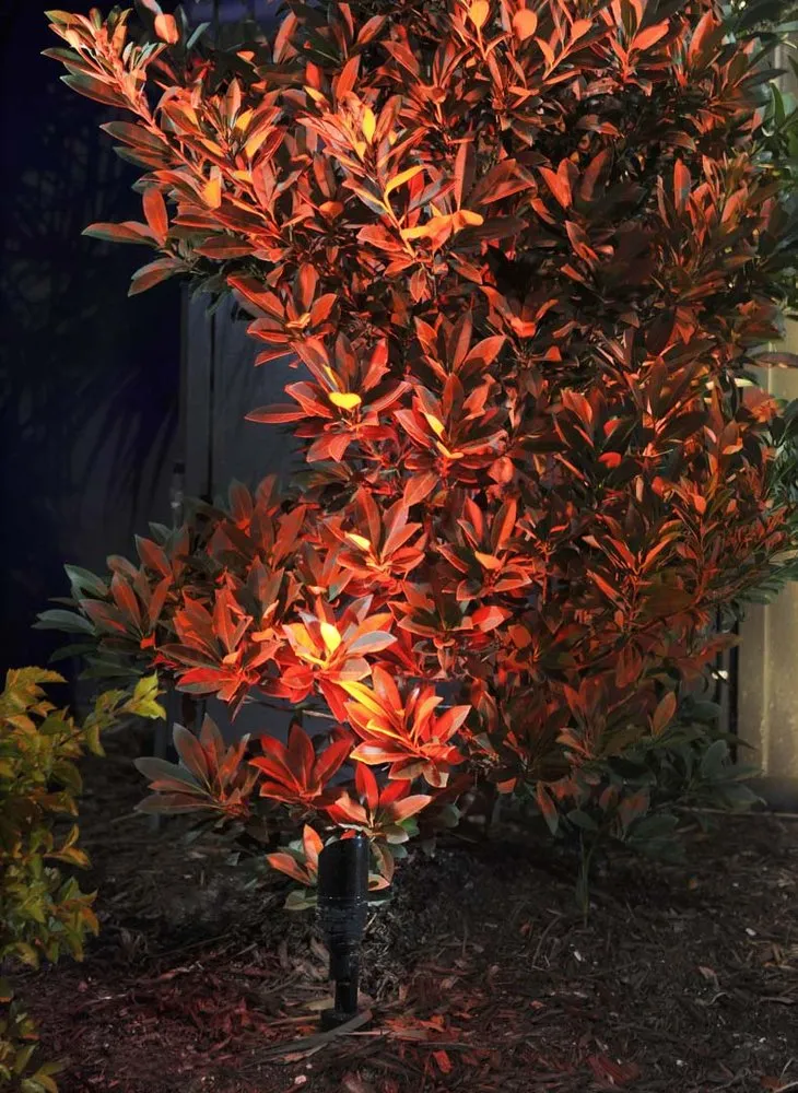 Reliable yard maintenance near you across Oldsmar, FL - Water Crest Systems