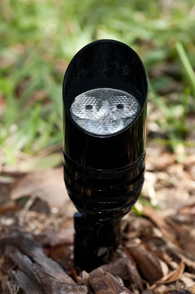 Trusted yard cleanup service for outdoor upgrades across Oldsmar, FL - Water Crest Systems