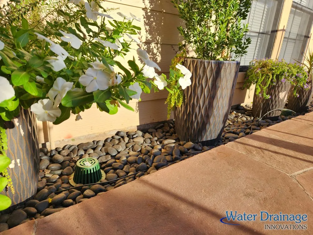 Custom outdoor landscaping in Dallas, TX by Water Drainage Innovations
