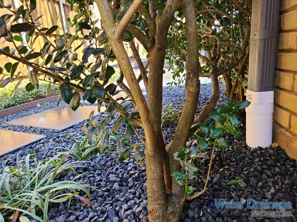 Custom landscape design for beautiful yards in Dallas, TX by Water Drainage Innovations