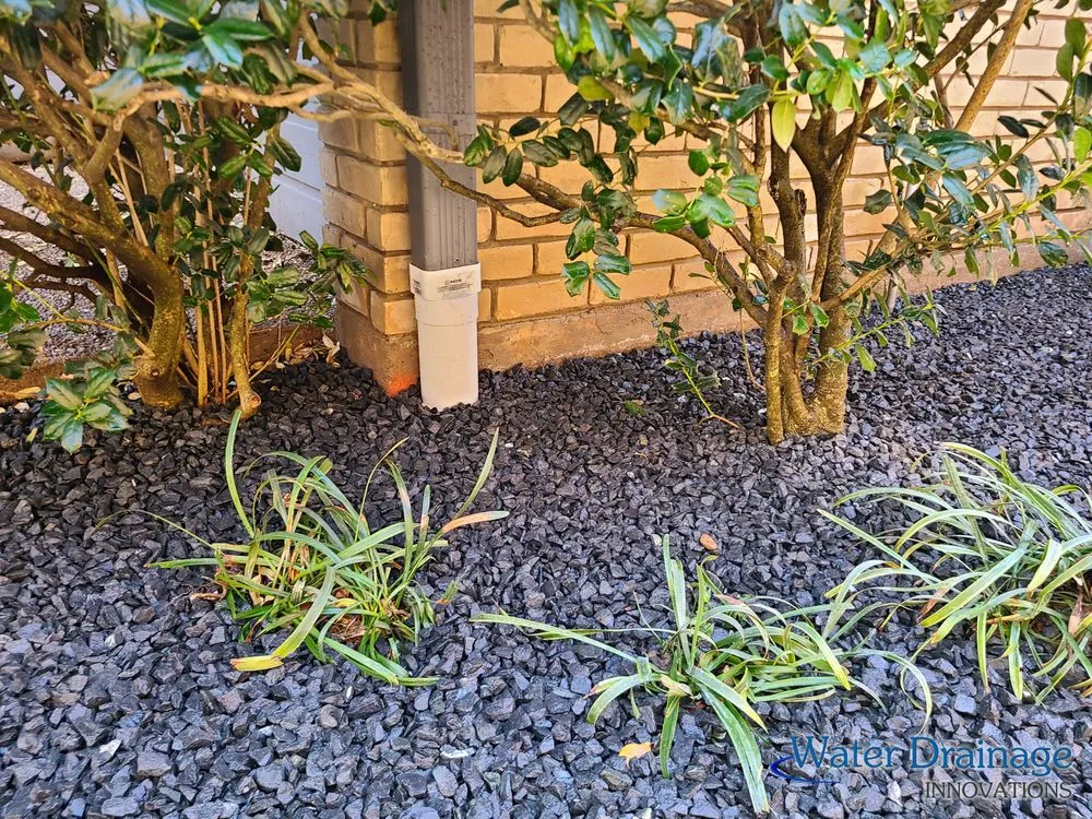 Professional residential landscaping for homes across Dallas, TX - Water Drainage Innovations