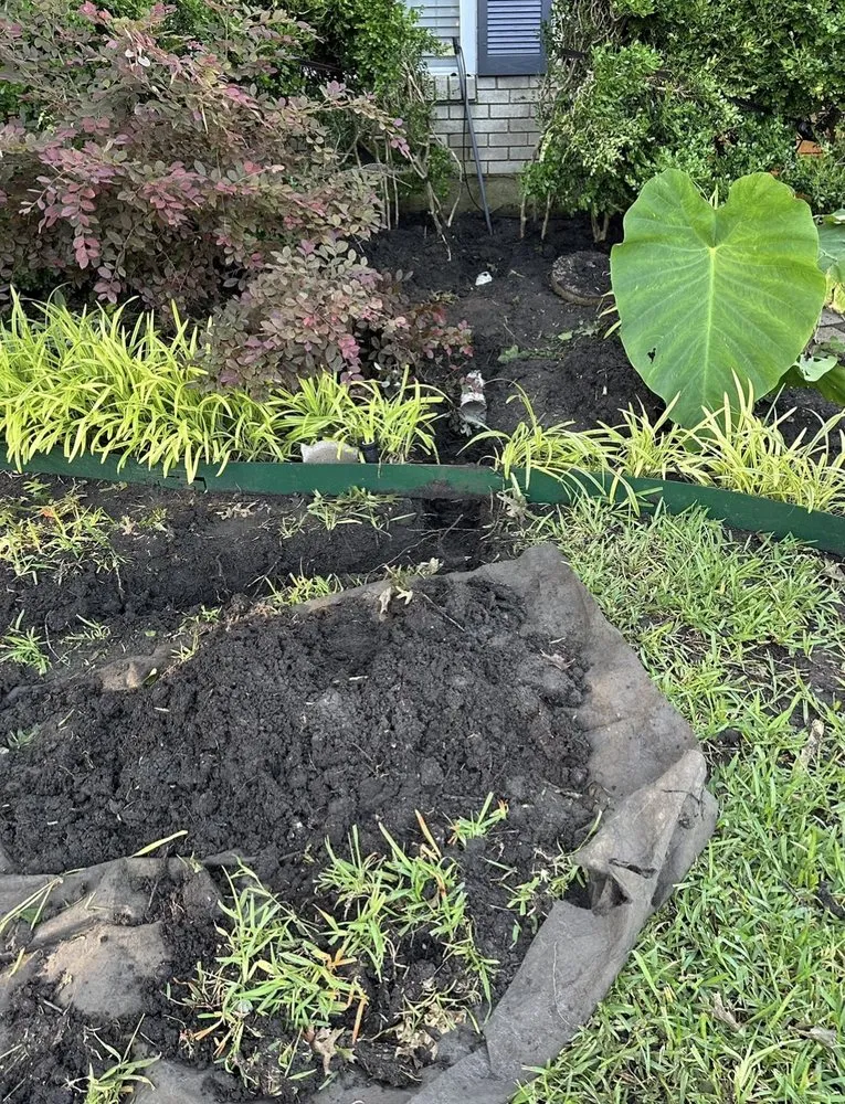 Affordable lawn mowing service experts serving Dallas, TX - Water Drainage Innovations