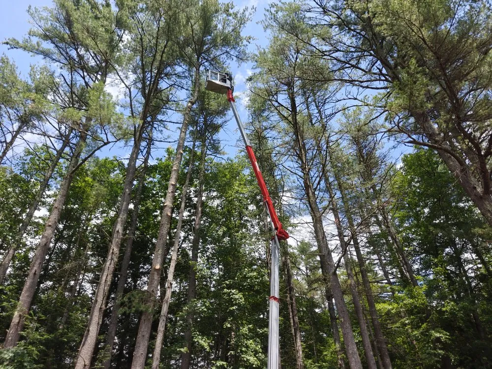 Top-rated lawn care service in Leverett, MA - Water Earth & Flowers