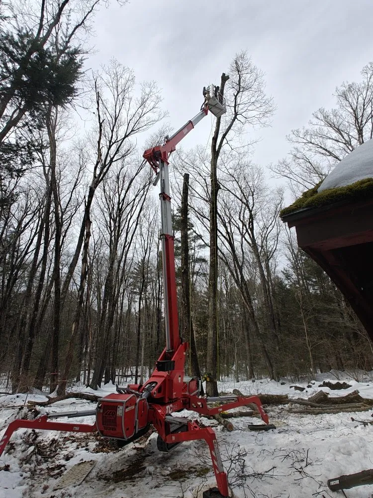 Local lawn care service in Leverett, MA by Water Earth & Flowers